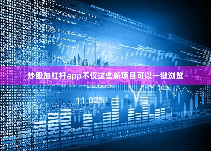 炒股加杠杆app不仅这些新项目可以一键浏览