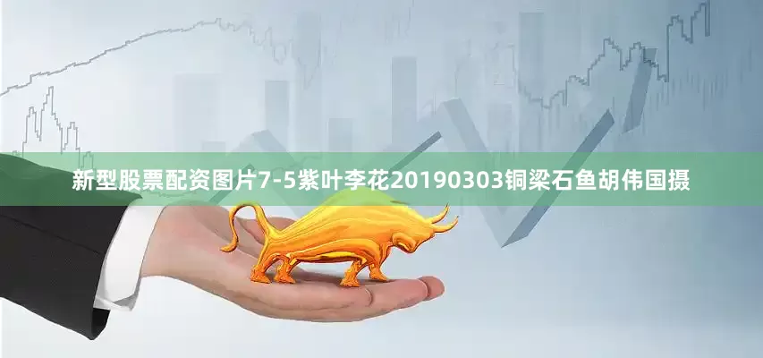 新型股票配资图片7-5紫叶李花20190303铜梁石鱼胡伟国摄