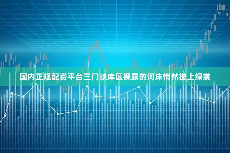 国内正规配资平台三门峡库区裸露的河床悄然披上绿裳